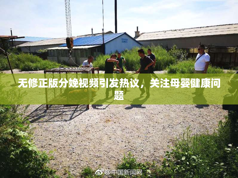 无修正版分娩视频引发热议，关注母婴健康问题