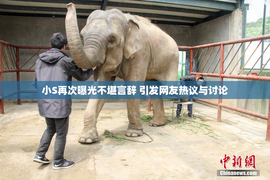 小S再次曝光不堪言辞 引发网友热议与讨论