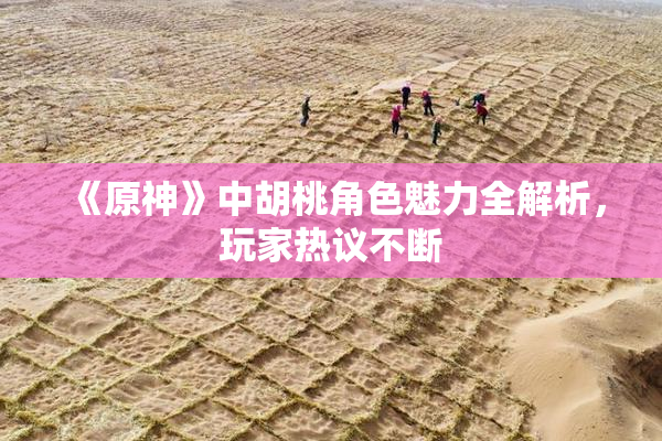 《原神》中胡桃角色魅力全解析，玩家热议不断