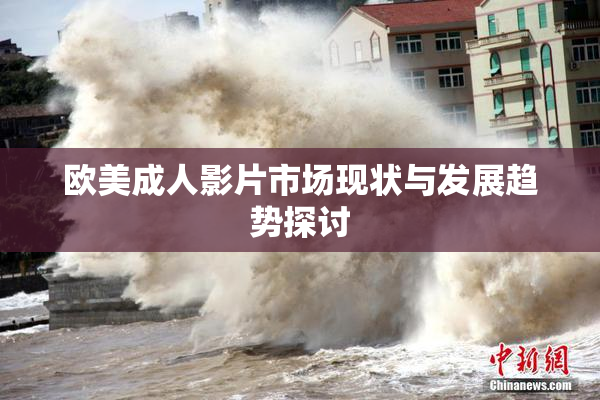 欧美成人影片市场现状与发展趋势探讨