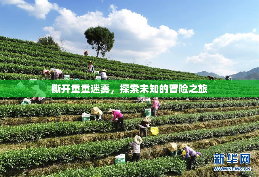 撕开重重迷雾，探索未知的冒险之旅