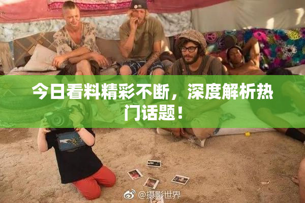 今日看料精彩不断，深度解析热门话题！