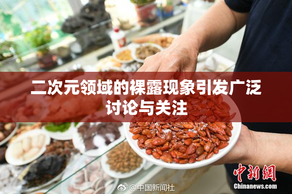 二次元领域的裸露现象引发广泛讨论与关注