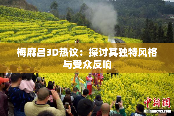 梅麻吕3D热议：探讨其独特风格与受众反响