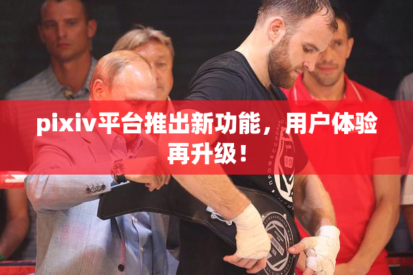 pixiv平台推出新功能，用户体验再升级！