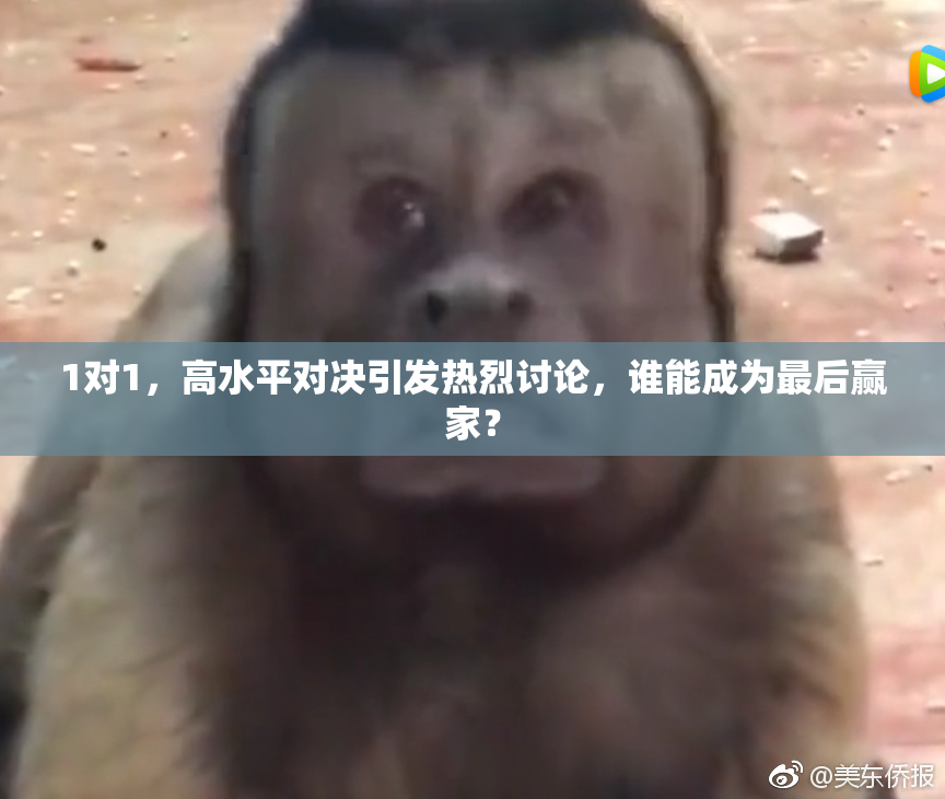 1对1，高水平对决引发热烈讨论，谁能成为最后赢家？