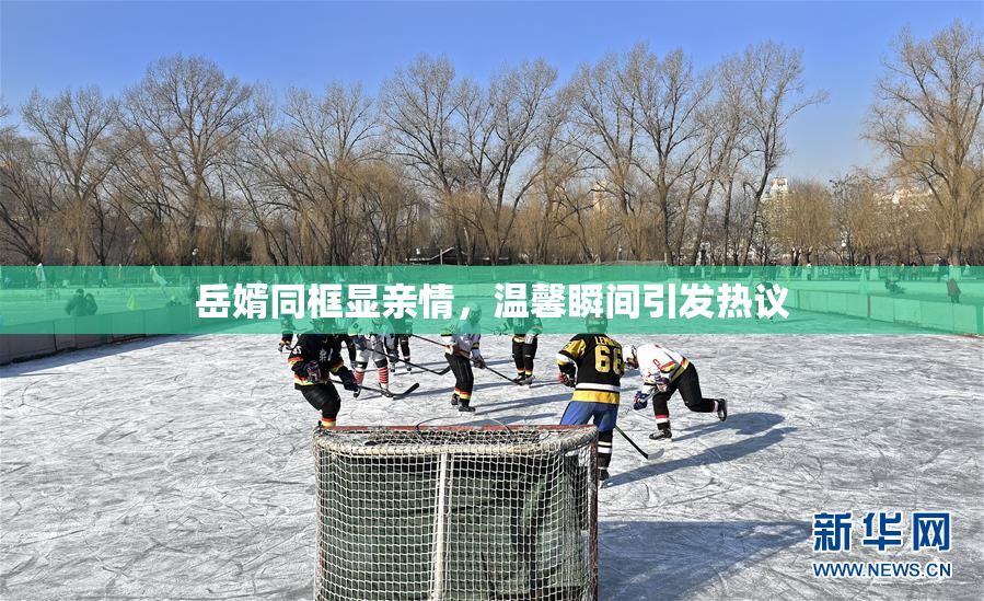 岳婿同框显亲情，温馨瞬间引发热议