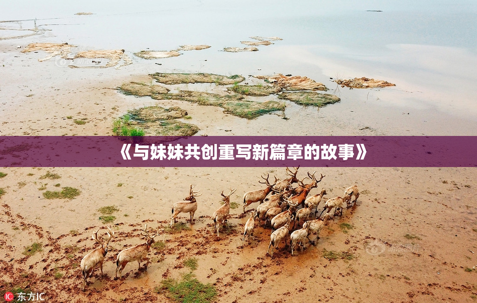 《与妹妹共创重写新篇章的故事》