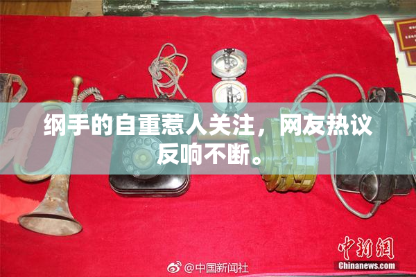 纲手的自重惹人关注，网友热议反响不断。