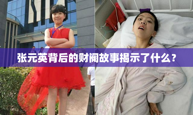 张元英背后的财阀故事揭示了什么？
