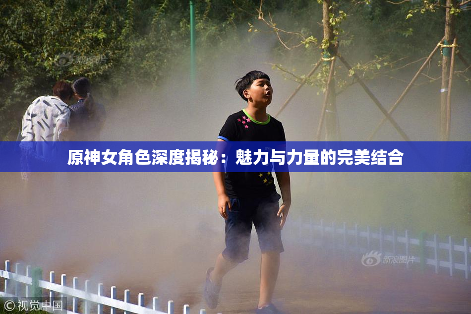 原神女角色深度揭秘：魅力与力量的完美结合