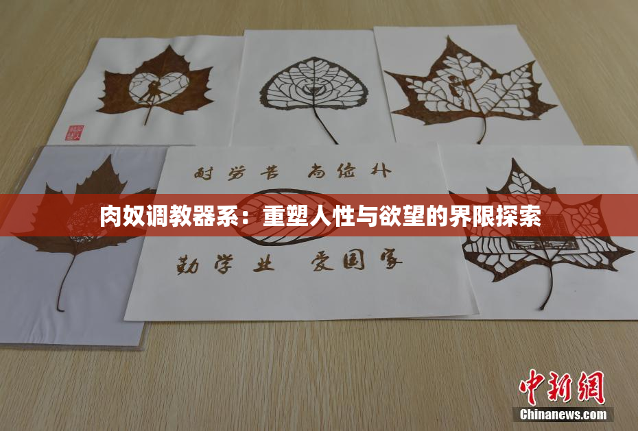 肉奴调教器系：重塑人性与欲望的界限探索