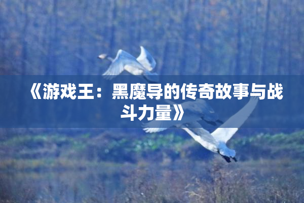 《游戏王：黑魔导的传奇故事与战斗力量》