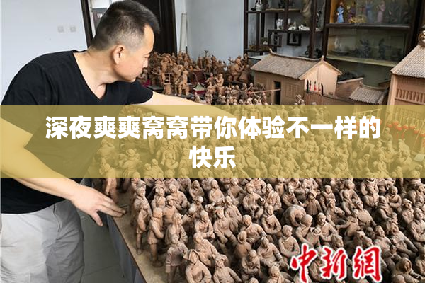 深夜爽爽窝窝带你体验不一样的快乐