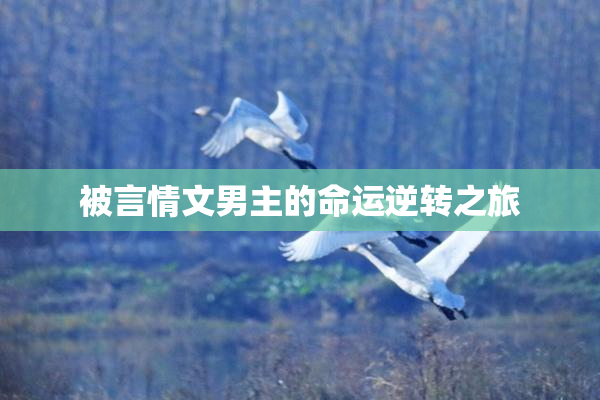 被言情文男主的命运逆转之旅
