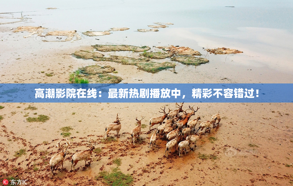 高潮影院在线：最新热剧播放中，精彩不容错过！