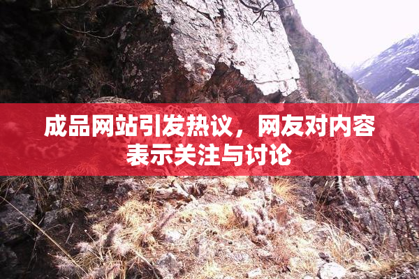 成品网站引发热议，网友对内容表示关注与讨论