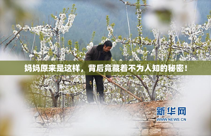 妈妈原来是这样，背后竟藏着不为人知的秘密！