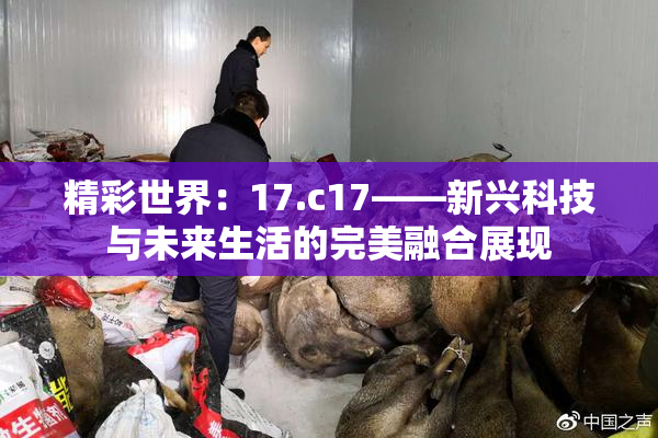 精彩世界：17.c17——新兴科技与未来生活的完美融合展现