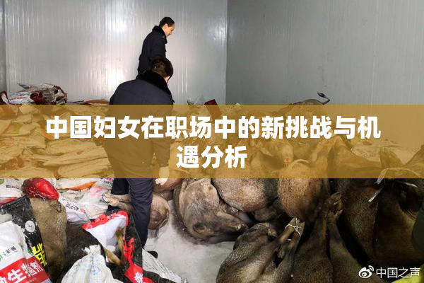 中国妇女在职场中的新挑战与机遇分析