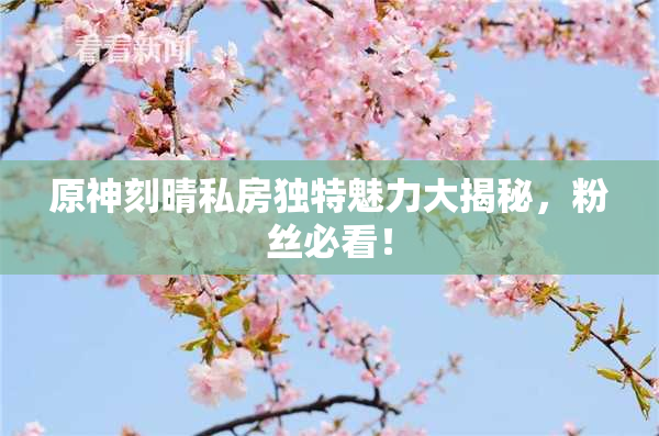 原神刻晴私房独特魅力大揭秘，粉丝必看！