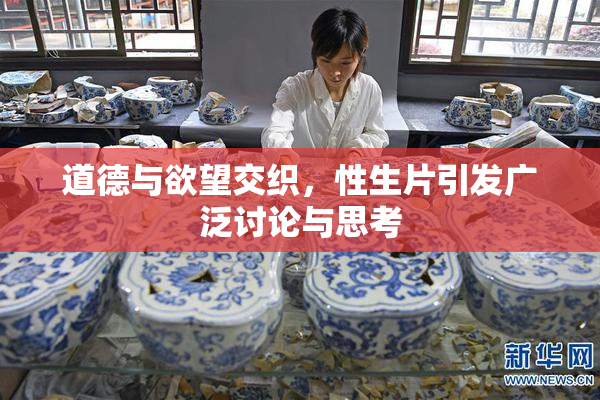道德与欲望交织，性生片引发广泛讨论与思考