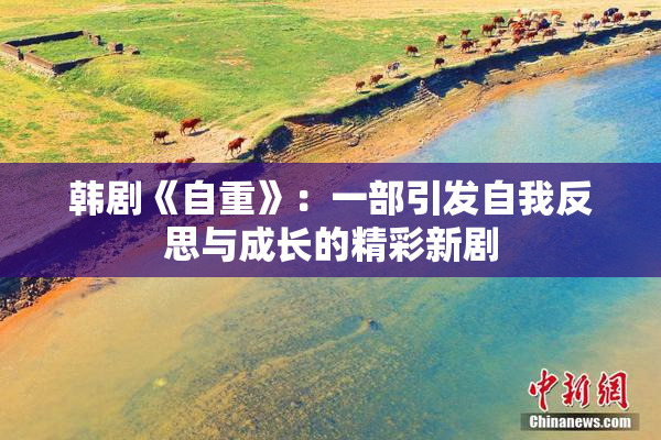 韩剧《自重》：一部引发自我反思与成长的精彩新剧