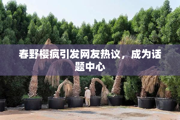 春野樱疯引发网友热议，成为话题中心
