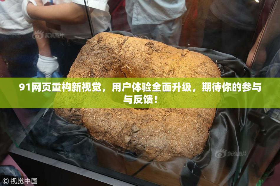 91网页重构新视觉，用户体验全面升级，期待你的参与与反馈！