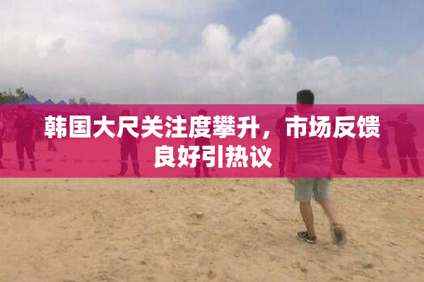 韩国大尺关注度攀升，市场反馈良好引热议