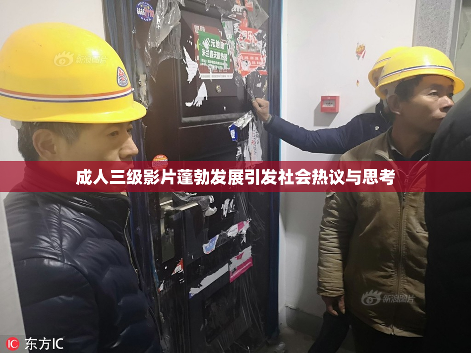 成人三级影片蓬勃发展引发社会热议与思考