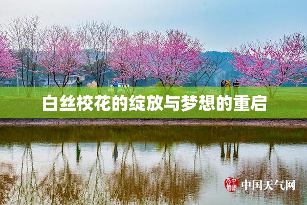 白丝校花的绽放与梦想的重启