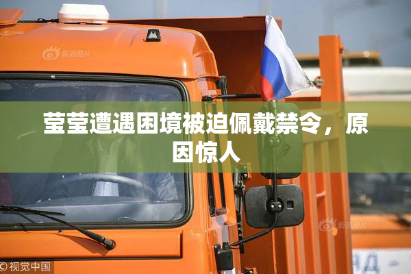 莹莹遭遇困境被迫佩戴禁令，原因惊人