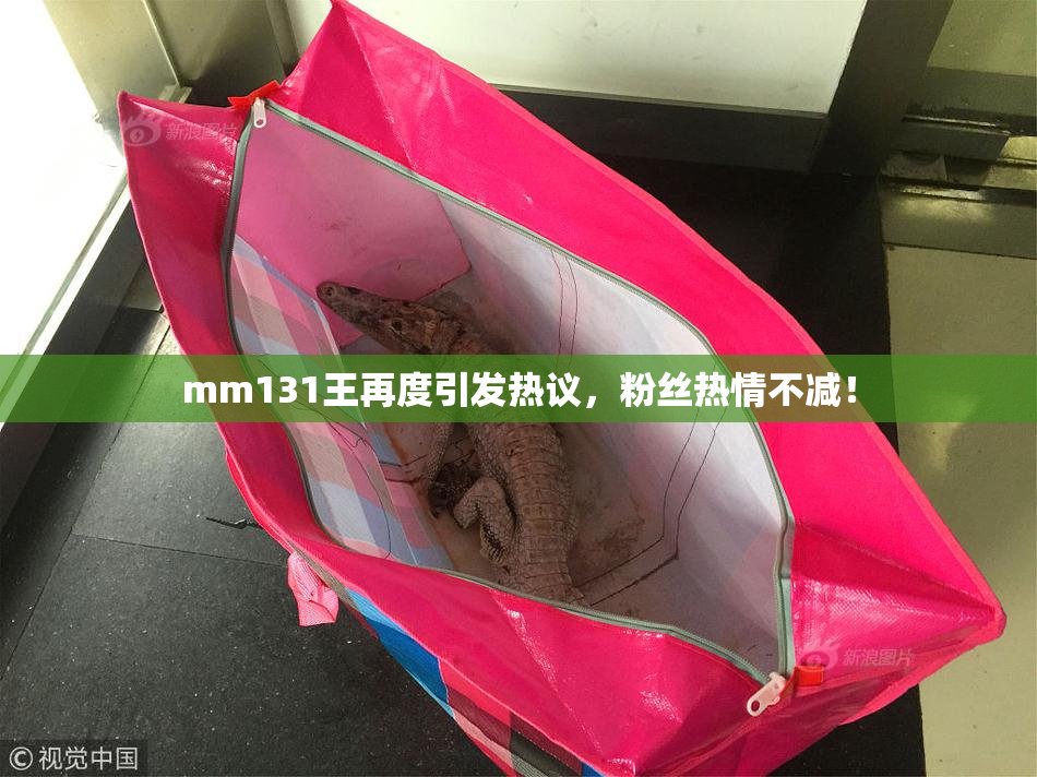 mm131王再度引发热议，粉丝热情不减！