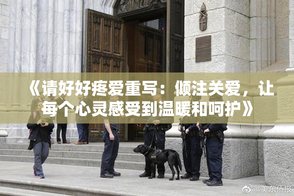 《请好好疼爱重写：倾注关爱，让每个心灵感受到温暖和呵护》