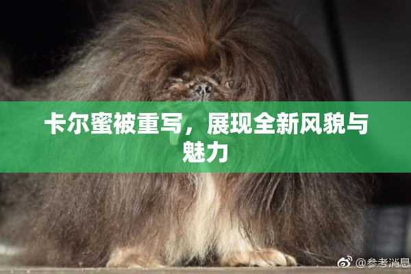 卡尔蜜被重写，展现全新风貌与魅力