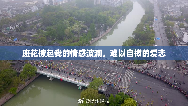 班花撩起我的情感波澜，难以自拔的爱恋