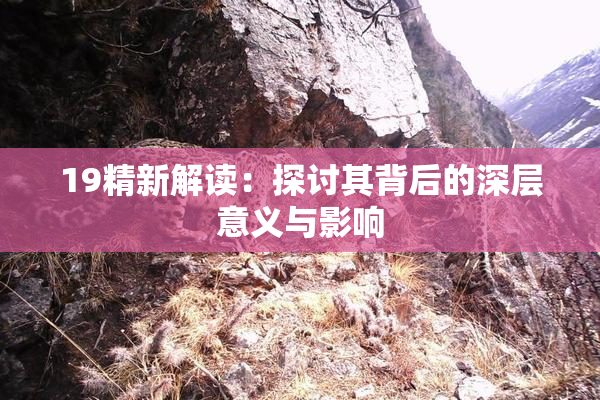 19精新解读：探讨其背后的深层意义与影响