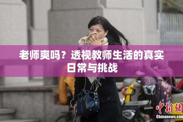 老师爽吗？透视教师生活的真实日常与挑战