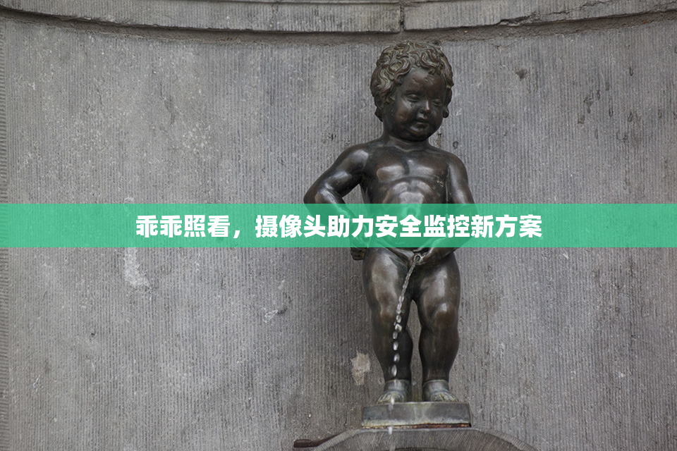 乖乖照看，摄像头助力安全监控新方案