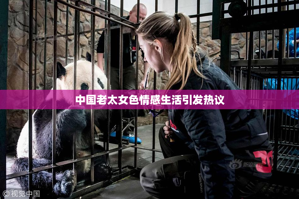 中国老太女色情感生活引发热议