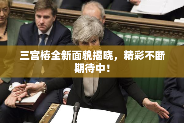 三宫椿全新面貌揭晓，精彩不断期待中！