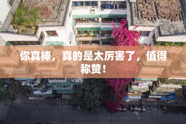 你真棒，真的是太厉害了，值得称赞！