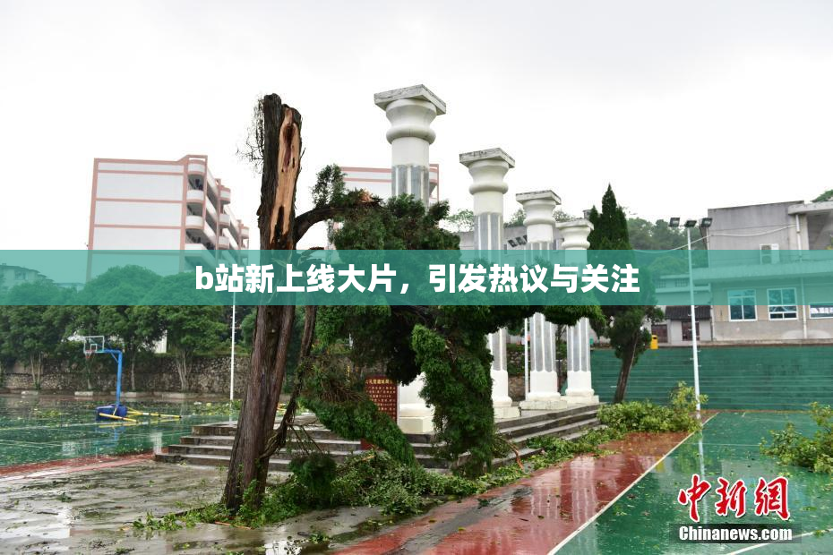 b站新上线大片，引发热议与关注