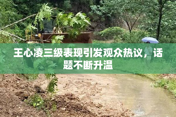 王心凌三级表现引发观众热议，话题不断升温