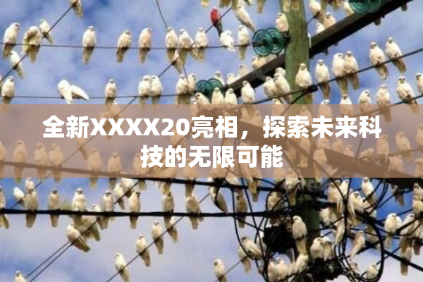 全新XXXX20亮相，探索未来科技的无限可能