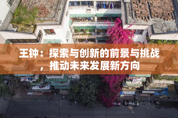 王钟：探索与创新的前景与挑战，推动未来发展新方向