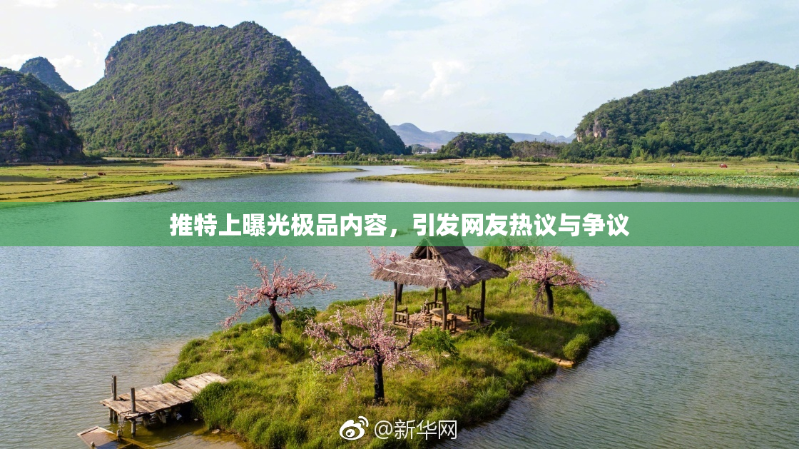 推特上曝光极品内容，引发网友热议与争议