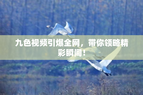 九色视频引爆全网，带你领略精彩瞬间！