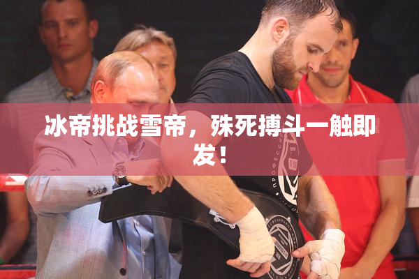 冰帝挑战雪帝，殊死搏斗一触即发！